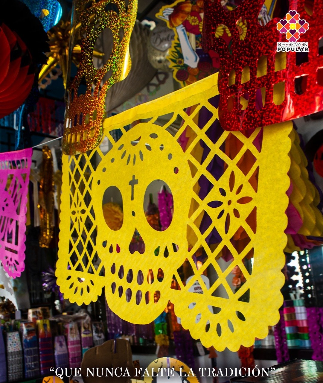 WhatsApp Image 2026-01-23 at 4.37.01 PM (4)