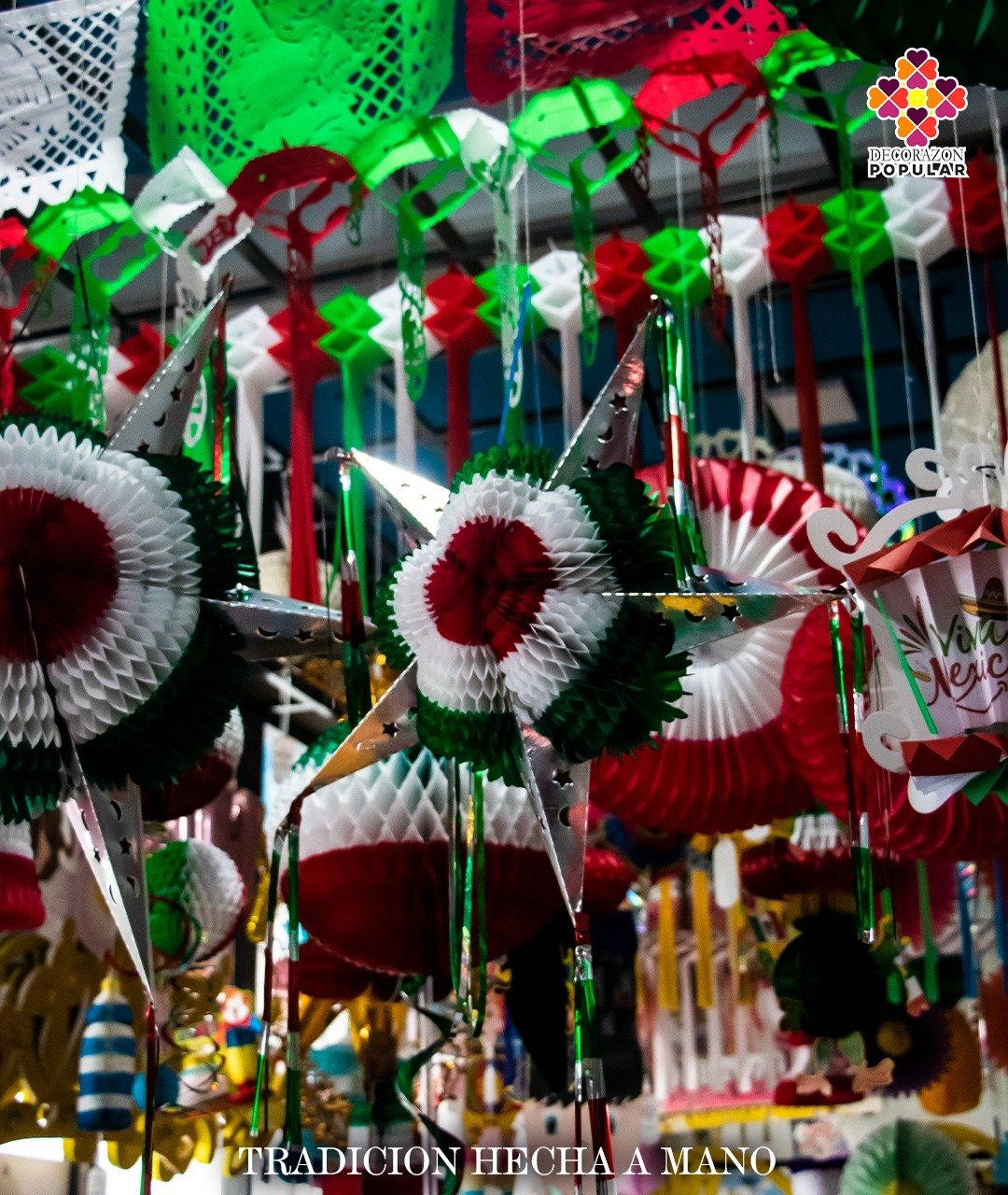 WhatsApp Image 2026-01-23 at 4.37.01 PM (5)